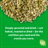 Go Raw Organic Sprouted Garlic Thyme Salad Toppers, 4 oz, 10 Pack, Pumpkin & Sunflower Seeds, Keto, Kosher view 4