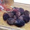 1 pound of fresh Indiana Black walnuts in shell view 3