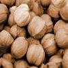 2 pounds bagged Hickory nuts in shell! Freshly harvested view 1