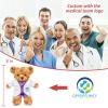 Personalized Teddy Bear with Photo & Custom Text/Blessing, Bear Stuffed Animal as Nurse Gift/Doctor Gift for Women/Men, Personalized Gift for Doctor/Medical Student Graduation (8IN-Doctor 1) view 4