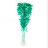 Dried Italian Ruscus l (Approximately 30in Tall) l Italian Ruscus l Preserved Italian Ruscus for Any Event's Decoration (Dark Green) view 1