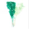 Dried Italian Ruscus l (Approximately 30in Tall) l Italian Ruscus l Preserved Italian Ruscus for Any Event's Decoration (Dark Green) view 3