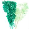 Dried Italian Ruscus l (Approximately 30in Tall) l Italian Ruscus l Preserved Italian Ruscus for Any Event's Decoration (Dark Green) view 4