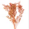 Dried Italian Ruscus l (Approximately 30in Tall) l Italian Ruscus l Preserved Italian Ruscus for Any Event's Decoration (Orange) view 2