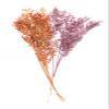 Dried Italian Ruscus l (Approximately 30in Tall) l Italian Ruscus l Preserved Italian Ruscus for Any Event's Decoration (Orange) view 3