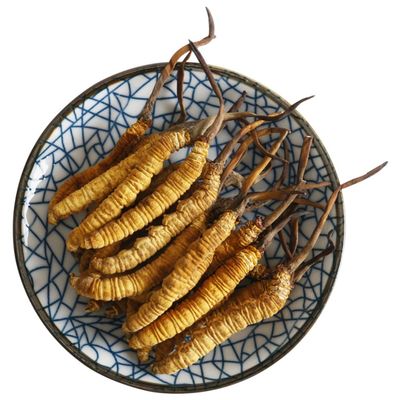 10 Grams Cordyceps Sinensis Chinese Caterpillar Fungus(Dong Chong Xia Cao),Wild Cordyceps,100% Wild Himalayan Cordyceps Sinensis.