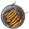 10 Grams Cordyceps Sinensis Chinese Caterpillar Fungus(Dong Chong Xia Cao),Wild Cordyceps,100% Wild Himalayan Cordyceps Sinensis. view 1