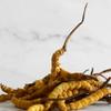10 Grams Cordyceps Sinensis Chinese Caterpillar Fungus(Dong Chong Xia Cao),Wild Cordyceps,100% Wild Himalayan Cordyceps Sinensis. view 2