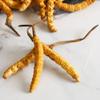 5 Grams Cordyceps Sinensis Chinese Caterpillar Fungus(Dong Chong Xia Cao),Wild Cordyceps,100% Wild Himalayan Cordyceps Sinensis. view 3