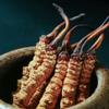 3 Grams 100% Wild Himalayan Cordyceps Sinensis Chinese Caterpillar Fungus Dong Chong Xia Cao Cordyceps Sinensis Wild Cordyceps. view 3