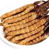 3 Grams 100% Wild Himalayan Cordyceps Sinensis Chinese Caterpillar Fungus Dong Chong Xia Cao Cordyceps Sinensis Wild Cordyceps. view 4