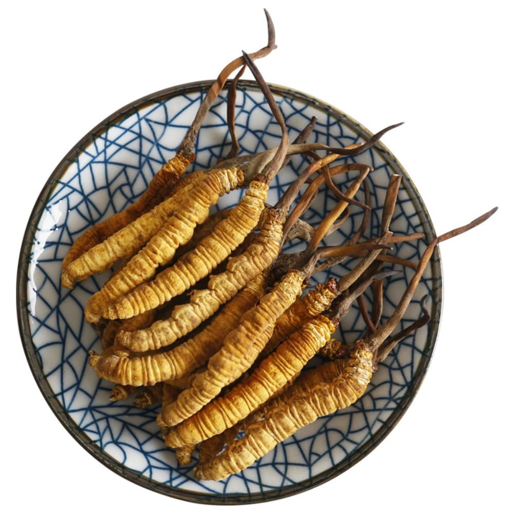 3 Grams Cordyceps Sinensis Chinese Caterpillar Fungus(Dong Chong Xia Cao),Wild Cordyceps,100% Wild Himalayan Cordyceps Sinensis.