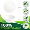 BIRCHIO 9oz Sample Paper Cups [100-Pack], Heavy Duty Disposable Cups Perfect for Dip Sauce and Snacks, 100% Compostable Sample Cups and Eco-Friendly Made from Bagasse view 2