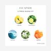 Aroma360 - Escapade - Paris Collection Reed Diffuser Duo - Luxury Aromatherapy Diffuser - Hints of Lemon, Ocean, Bergamot, & Fragrant Jasmine - Essential Oil Diffusers - Shelf Decor - Home & Office view 4