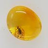 AMBERMILANA Natural Fossil Baltic Amber with Insect Inclusion in Magnifying Box/Beautiful Museum Grade/Certified Genuine Baltic Amber view 2