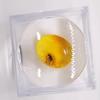 AMBERMILANA Natural Fossil Baltic Amber with Insect Inclusion in Magnifying Box/Beautiful Museum Grade/Certified Genuine Baltic Amber view 3