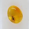 AMBERMILANA Natural Fossil Baltic Amber with Insect Inclusion in Magnifying Box/Beautiful Museum Grade/Certified Genuine Baltic Amber view 4