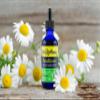 Dr. Rydland's Herbal Supplement | Created by KidsWellness, Effective on Adults & Children | ParaBiome Advanced Cleanse and Digestive Support | Made with Black Walnut, Clove, Wormwood | 2 Ounce Bottle view 3