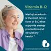 BESTVITE Vitamin B12 (Methylcobalamin) 1000mcg (240 Vegetarian Capsules) (Methyl B12) - No Stearates - Vegan - Non GMO - Gluten Free view 2
