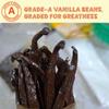 50 Vanilla Beans Grade A + | Whole Vanilla Bean Pods for Making Vanilla Extract | NON GMO | Bulk Natural Vanilla beans For Baking, Cooking & Desserts | 6-8 Inches | NY Vanilla. view 4