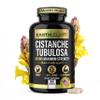 Earth Elixir Cistanche Supplement for Men & Women  Potent Cistanche Tubulosa Extract Capsules for Daily Vitality, Strength & Performance Support  Made in USA, 3rd Party Tested & 3 Month Supply view 1
