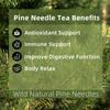 Pine Needle Tea Bags - 100% Pure Natural Wild Dried Pine Needles Herbal Tea (20 Tea Bags) Effectively Antioxidant & Immune Support, Caffeine Free view 3