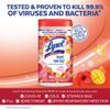 Lysol Disinfectant Wipes, Multi-Surface Disinfectant Cleaning Wipes, For Disinfecting and Cleaning, Mango & Hibiscus, 80 Count (Pack of 4) view 4