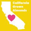 Wilderness Poets, Organic Blanched Almonds - Whole, California-Grown Almonds with No Skins, Unsalted - 5 Pound (Pack of 4) view 4