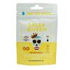 Salsa Queen Gourmet Freeze-Dried Mango Pineapple Salsa | Fresh Ingredients | 3+ year life | No Refrigeration Needed | Vegan, Keto, and Gluten Free | Camping, Travel, Outdoors, Space Travel view 1