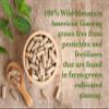 AG 100-100% Pure Wild American Ginseng Capsules view 4