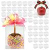 FUNSUEI 50 Pack Clear 4x4x4 Apple Boxes with Hole Top, Transparent Candy & Caramel Apple PET Boxes for Treats & Chocolates view 1