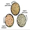 Food to Live Organic Pulses Bundle, 3 Pack  Whole Green Peas (5 LB), Green Lentils (5 LB), Chickpeas (5 LB), Non-GMO Dried Legumes, Raw, Vegan, Kosher, Bulk. Rich in Fiber and Protein view 4