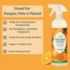 Absolute Green All Purpose Cleaner Spray, Non-Toxic, Kitchen, Bath, Countertop, Stainless, Safe around Kids + Pets, Natural Orange Scent, 25 oz (1 Pack) view 3