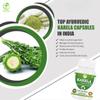 Morsan Healthcare Karela Capsules  500 mg | 60 Veg Capsules x 2 Bottles | Pure Momordica charantia Extract | Ayurvedic Herbal Supplement | Plant-Based & Gluten-Free view 3