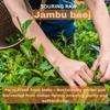 Morsan's Jambu Beej (Syzygium cumini) Capsules, Pack of 4 x 60 x 500 mg. Veg. Capsules (4) view 4