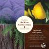 WoodWick Lavender & Cypress Gifts for Women and Men, 6 oz. Renew Medium Candle with Crackling Wick view 2