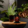 WoodWick Lavender & Cypress Gifts for Women and Men, 6 oz. Renew Medium Candle with Crackling Wick view 4
