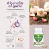 Morsan Healthcare Garlic Capsules 500 mg with Allium sativum Extract. 120 Capsules per Bottle Herbal Garlic Supplement in Capsule Form for Daily Use Standard Size Pack of 2 Bottles for Adults view 3