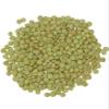 CLEAR CREEK Green Lentils | Project Non-GMO Verified | 25 lb bucket | Vegan | Non-Irradiated (Will Sprout) | Kosher | Vegan view 2