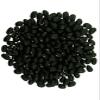 CLEAR CREEK Black Beans | 25 LBS | Emergency Food Storage Bucket | Non-GMO | Vegan | Bulk view 2
