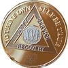 16 Year AA Medallion Large 1.5 Inch 22K Gold Plated Bi-Plate Sobriety Chip view 2