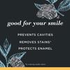 Burt's Bees Toothpaste, Natural Flavor, Charcoal with Fluoride Toothpaste, Mountain Mint, 3 x 4.7oz view 2