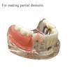 Gum Material for DIY Denture Improve Smile, Tooth Repair Kit, Teeth Fitting Material view 2