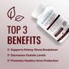 Approved Science Stonexyl - Herbal Support for Kidney Stones - 180 Capsules - Chanca Piedra - High Absorption - 3 Month Supply - Vegan view 3