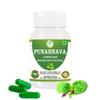 Morsan Healthcare Punarnava Capsules (Boerhaavia Diffusa) 500mg  60 Veg Capsules | Herbal Wellness Supplement for Natural Kidney & Liver Support | Plant-Based Detox & Cleansing Formula | Pack of 1 view 1