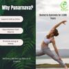 Morsan Healthcare Punarnava Capsules (Boerhaavia Diffusa) 500mg  60 Veg Capsules | Herbal Wellness Supplement for Natural Kidney & Liver Support | Plant-Based Detox & Cleansing Formula | Pack of 1 view 3
