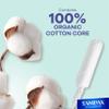 Tampax Pure Cotton Tampons, Contains 100% Organic Cotton Core, Regular Absorbency, Unscented, 24 Count x 3 Packs (72 Count Total) view 3