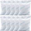 Wisesorb 10Pcs 100 Gram Silica Gel Packets, Dessicant Packs for Storage, Pure and Safe Desiccant, Moisture Absorber Silica Gel Beads Packs for Moisture Control view 1