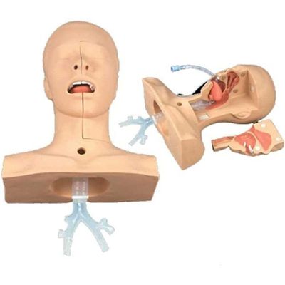 TAKESH Suck Sputum Practice Model Airway Management Trainer Intubation Manikin Suction Tube Nasal Oral Anatomy for Nurse Apprentice Doctor Teaching