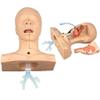 TAKESH Suck Sputum Practice Model Airway Management Trainer Intubation Manikin Suction Tube Nasal Oral Anatomy for Nurse Apprentice Doctor Teaching view 1